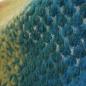 Preview: Bouclestrick Walk Jacquard Verlauf gelb orange blau